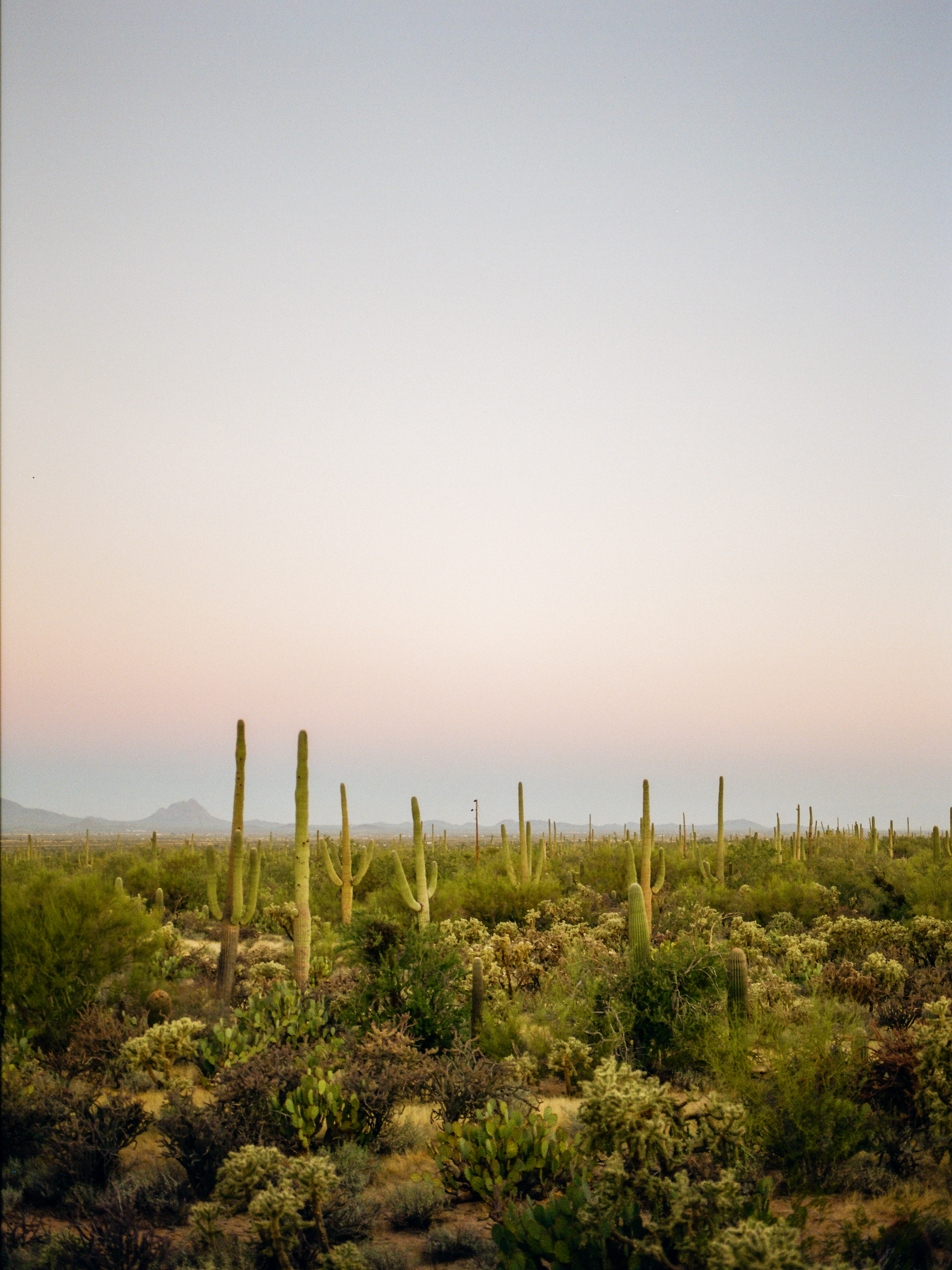 Photo by Jennifer Lawrence